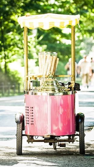 Wedding Reception Food Idea: Ice Cream Cart